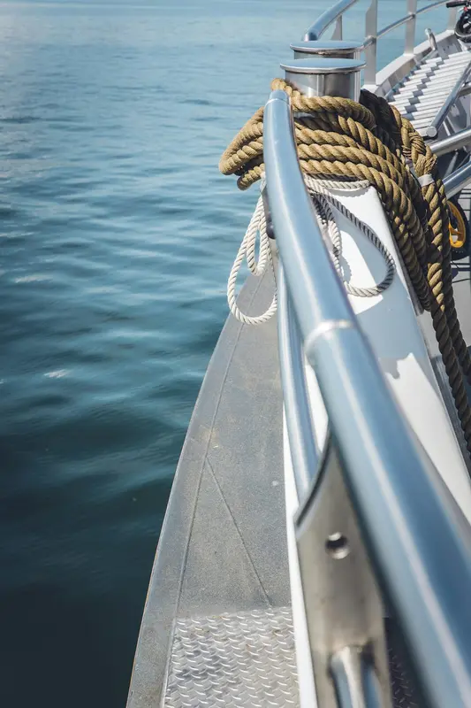 Narwhal.Boats Premium Domain